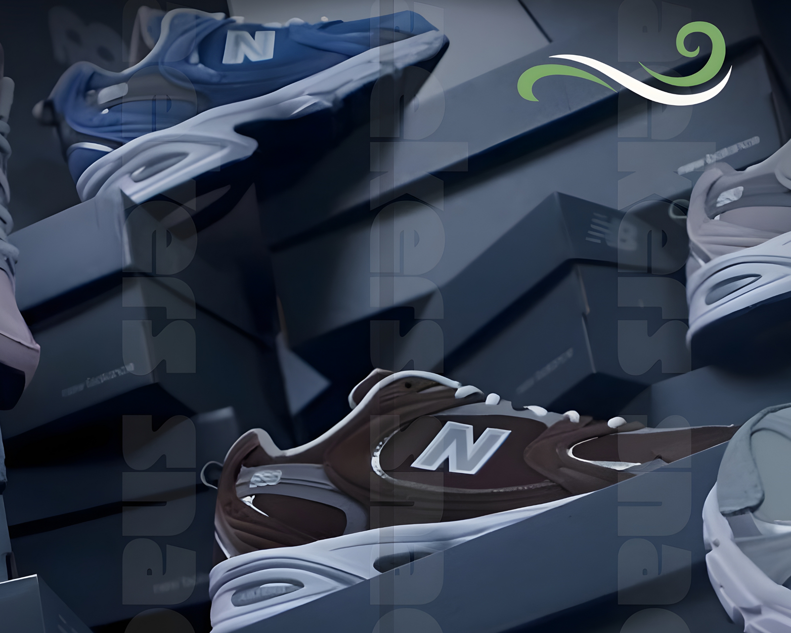 Bienvenue chez Snaekers